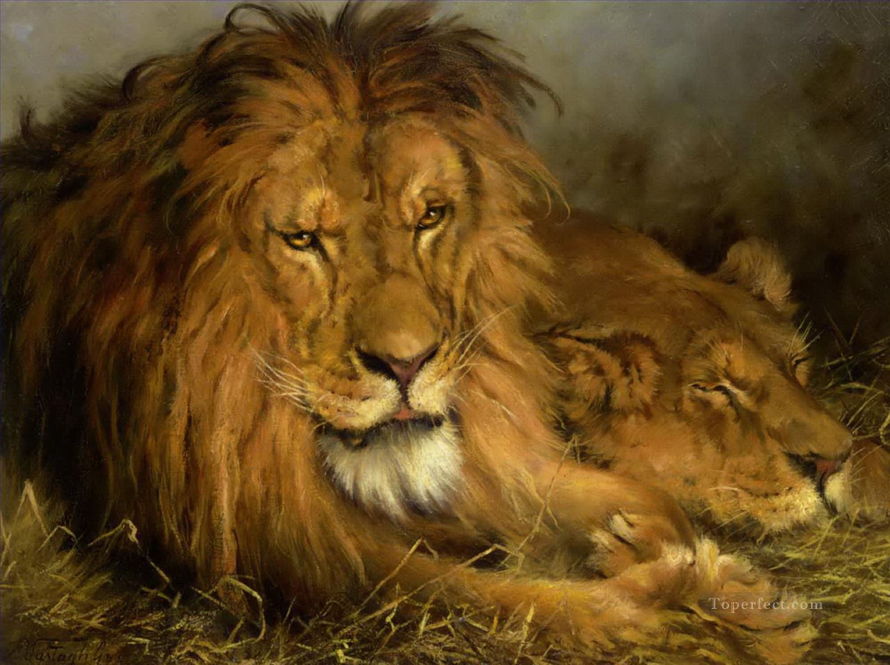 lion 4 Oil Paintings